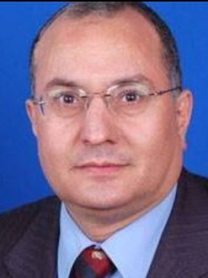 وجيه يعقوب السيد